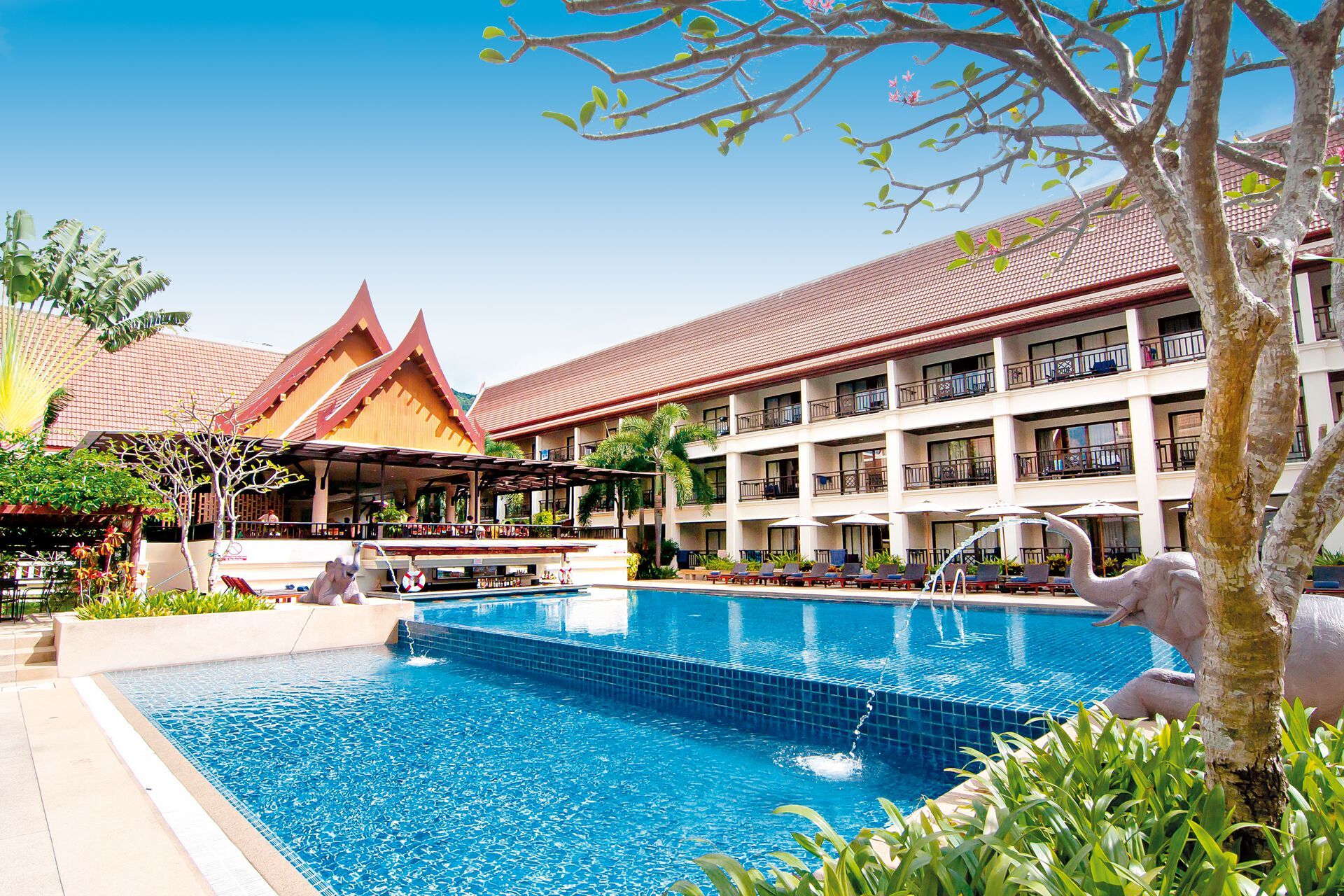 Hôtel Deevana Patong Resort Et Spa 3