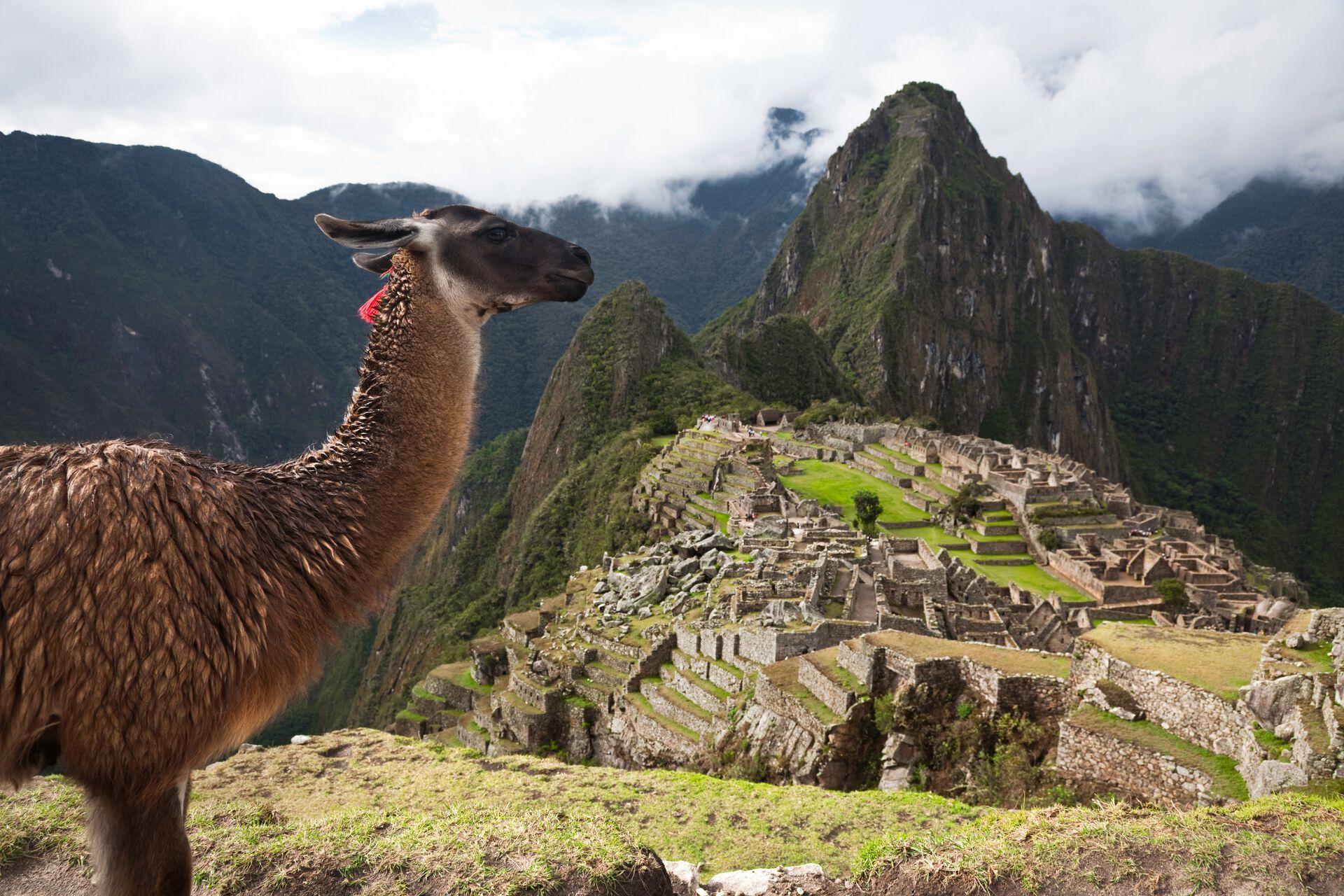 Peru & Bolivien - Machu Picchu und den Titicacasee erleben